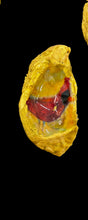 Load image into Gallery viewer, I'm Right Here Cardinal Oyster Shell