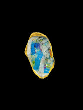 Load image into Gallery viewer, Seaside Oyster Shell