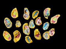 Load image into Gallery viewer, Forever Oyster Shell