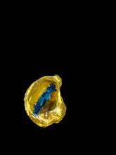 Load image into Gallery viewer, With You Oyster Shell